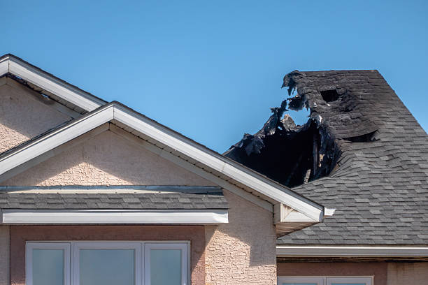 Licensed Board Up Services service in Nokomis, FL - Fire Damage Laser Cleaning